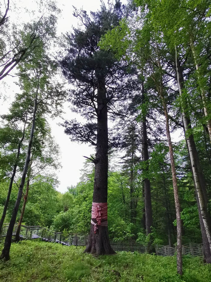 【夢(mèng)想聚團(tuán)隊(duì) 團(tuán)隊(duì)創(chuàng)輝煌】西微雅團(tuán)建活動(dòng)——長(zhǎng)白山之旅(圖5) 【夢(mèng)想聚團(tuán)隊(duì) 團(tuán)隊(duì)創(chuàng)輝煌】西微雅團(tuán)建活動(dòng)——長(zhǎng)白山之旅(圖5)