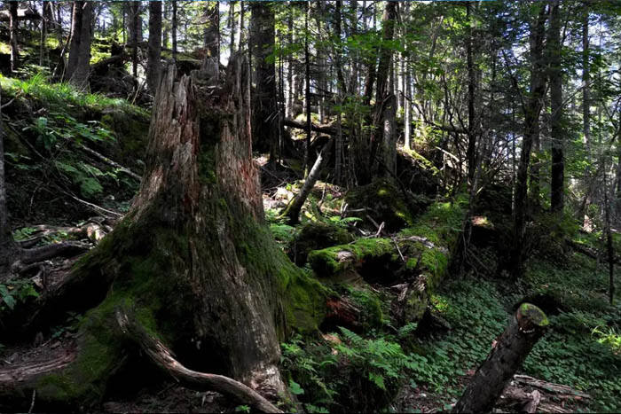 【夢(mèng)想聚團(tuán)隊(duì) 團(tuán)隊(duì)創(chuàng)輝煌】西微雅團(tuán)建活動(dòng)——長(zhǎng)白山之旅(圖13) 【夢(mèng)想聚團(tuán)隊(duì) 團(tuán)隊(duì)創(chuàng)輝煌】西微雅團(tuán)建活動(dòng)——長(zhǎng)白山之旅(圖13)