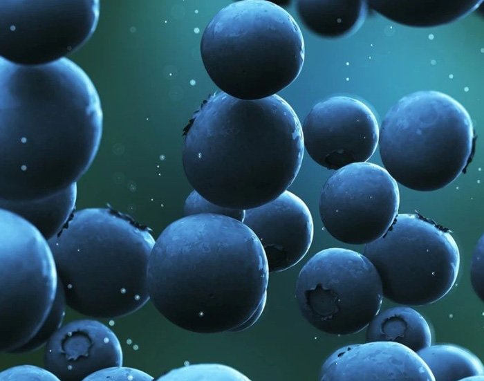 藍(lán)莓到藍(lán)莓干其營(yíng)養(yǎng)價(jià)值有變化嗎(圖2)