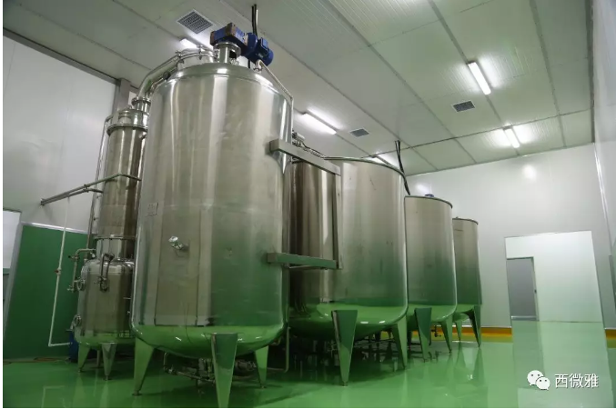 珍貴的果脯-藍莓干(圖12)