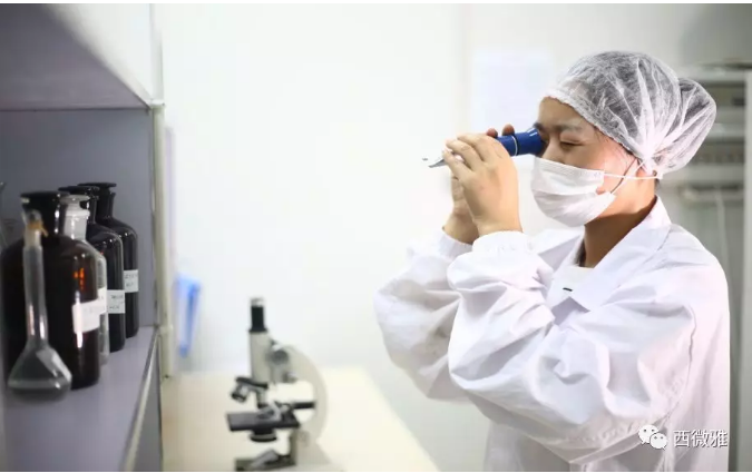 珍貴的果脯-藍莓干(圖13)