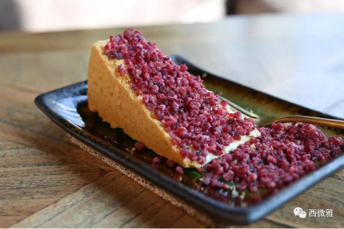 珍貴的果脯-藍莓干(圖18)