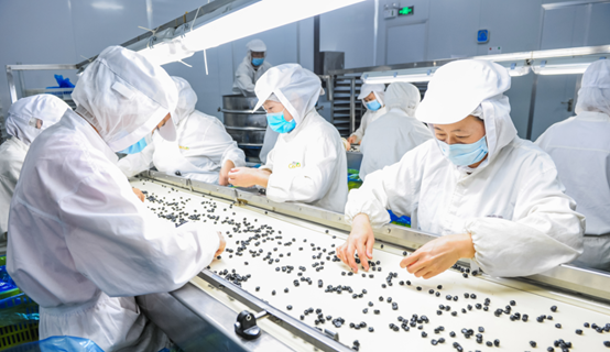 藍(lán)莓干生產(chǎn)廠家—西微雅鑄造匠心藍(lán)莓干(圖8) 藍(lán)莓干生產(chǎn)廠家—西微雅鑄造匠心藍(lán)莓干(圖8)