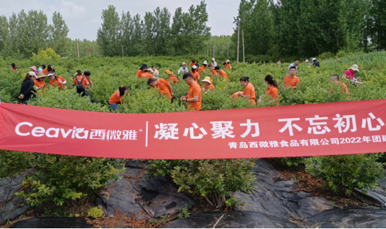 2022年青島西微雅企業(yè)團(tuán)建活動(dòng)圓滿結(jié)束(圖1) 2022年青島西微雅企業(yè)團(tuán)建活動(dòng)圓滿結(jié)束(圖1)